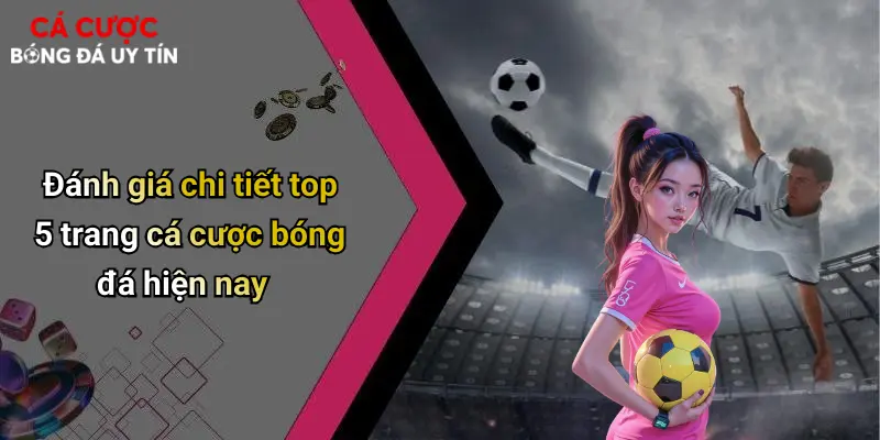 Đánh giá chi tiết top 5 trang cá cược bóng đá hiện nay