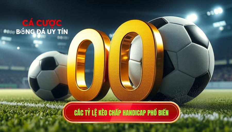  Các tỷ lệ kèo chấp handicap phổ biến