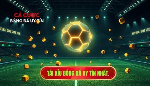 Tài xỉu bóng đá là gì? Bí quyết soi kèo Over/Under bất bại 2024