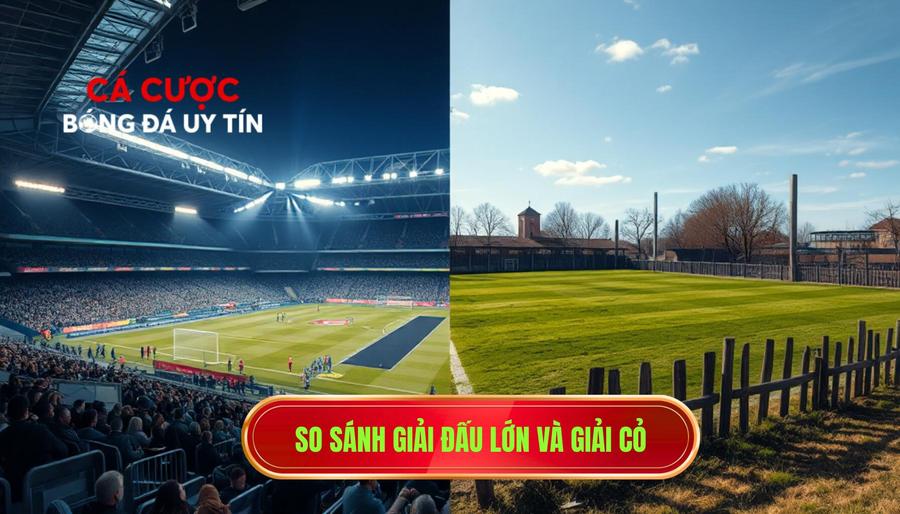 3. So sánh giải đấu lớn và giải cỏ